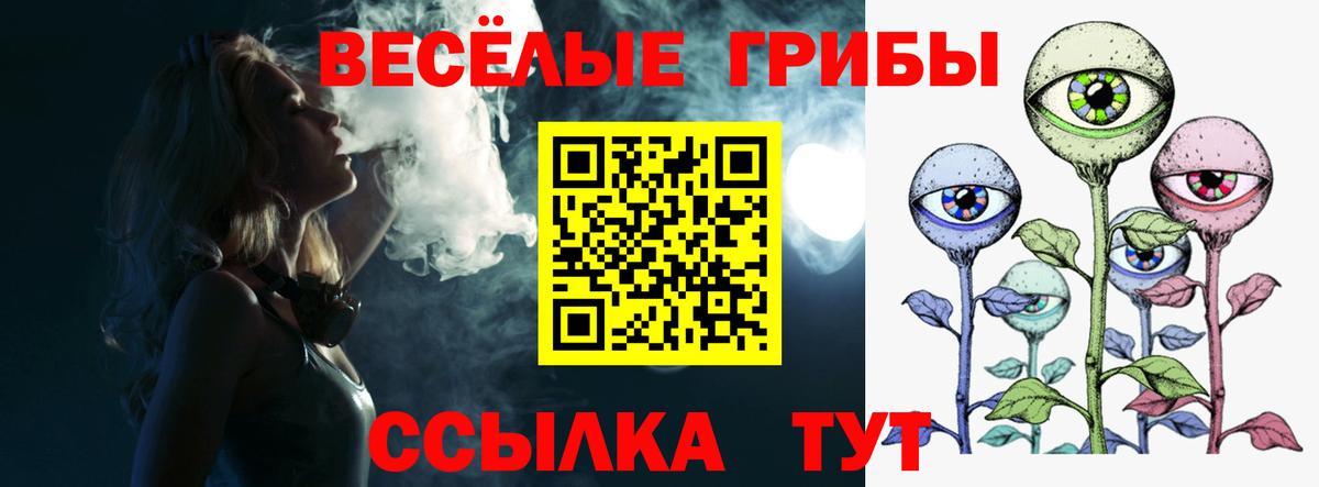 Галлюциногенные грибы прущие грибы Советск