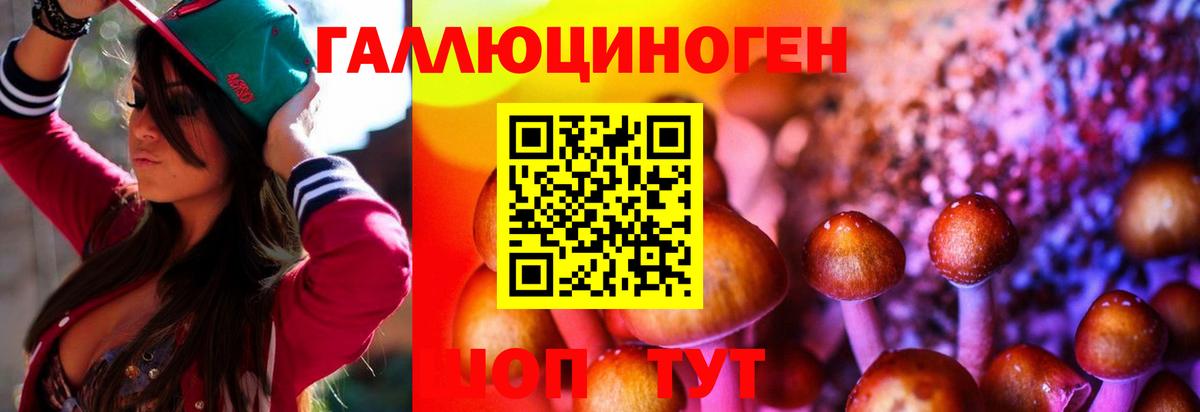 где продают   Псилоцибиновые грибы GOLDEN TEACHER  Вход с VPN  Советск 
